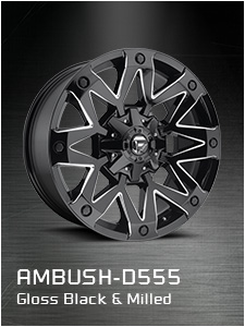 AMBUSH-D555